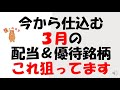 今から仕込む　3月の配当優待銘柄　これ狙ってます！