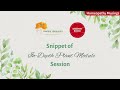 Small Glimpse of In Depth Plant Module Session