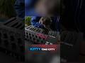 Cat on the lap adds +10 to creativity, every time without fail #ableton #serum #producer