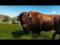 Bison Plains! | Planet Zoo