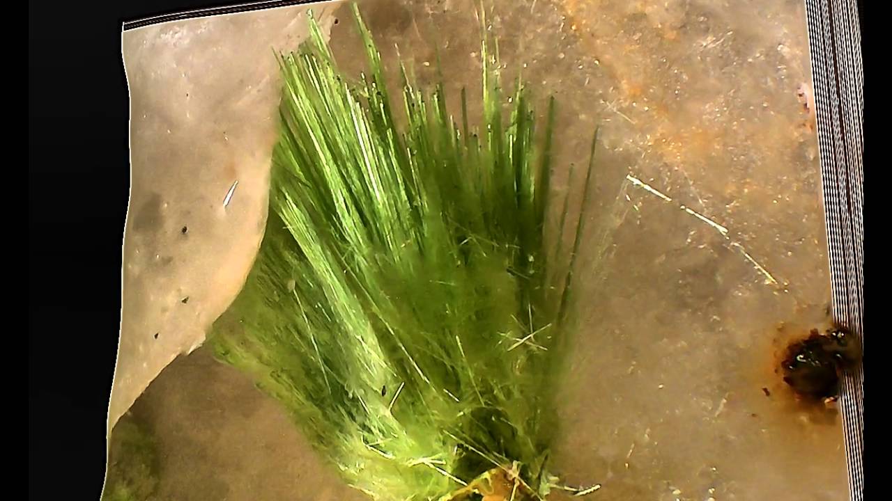 AGARDITE 3D  CLARA MINE   RANKACH VALLEY   OBERWOLFACH   GERMANIA   campo 4 mm  enhanced