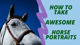 How to take an excellent photo of your horse screenshot 5