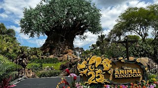 It&#39;s An Earth Day Birthday At Disney&#39;s Animal Kingdom | Animal Kingdom&#39;s 25th Anniversary 2023