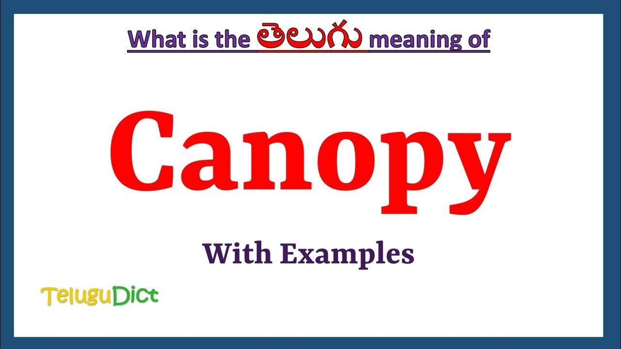 canopy-meaning-in-telugu-canopy-in-telugu-canopy-in-telugu