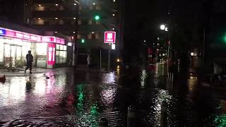 世田谷豪雨の後 After Heavy Rain in Setagaya
