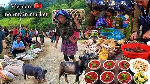 SỐC VỚI CHỢ CỐC LY! Tiết Canh Dê Núi, Lợn Cắp Nách & Chó H’Mông Quý Hiếm | Vietnam Mountain Market