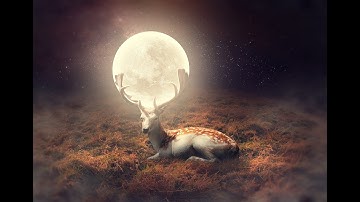 Photo manipulation Deer of moon photoshop tutorial