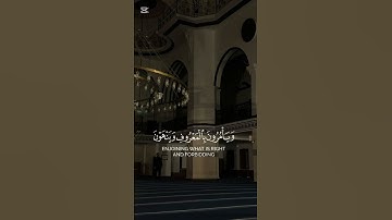 #قرآن #istagfar #تلاوة_خاشعة #yasseraldossary #quran #راحة_نفسية #قران_كريم #لايك #اكسبلور #اذكار