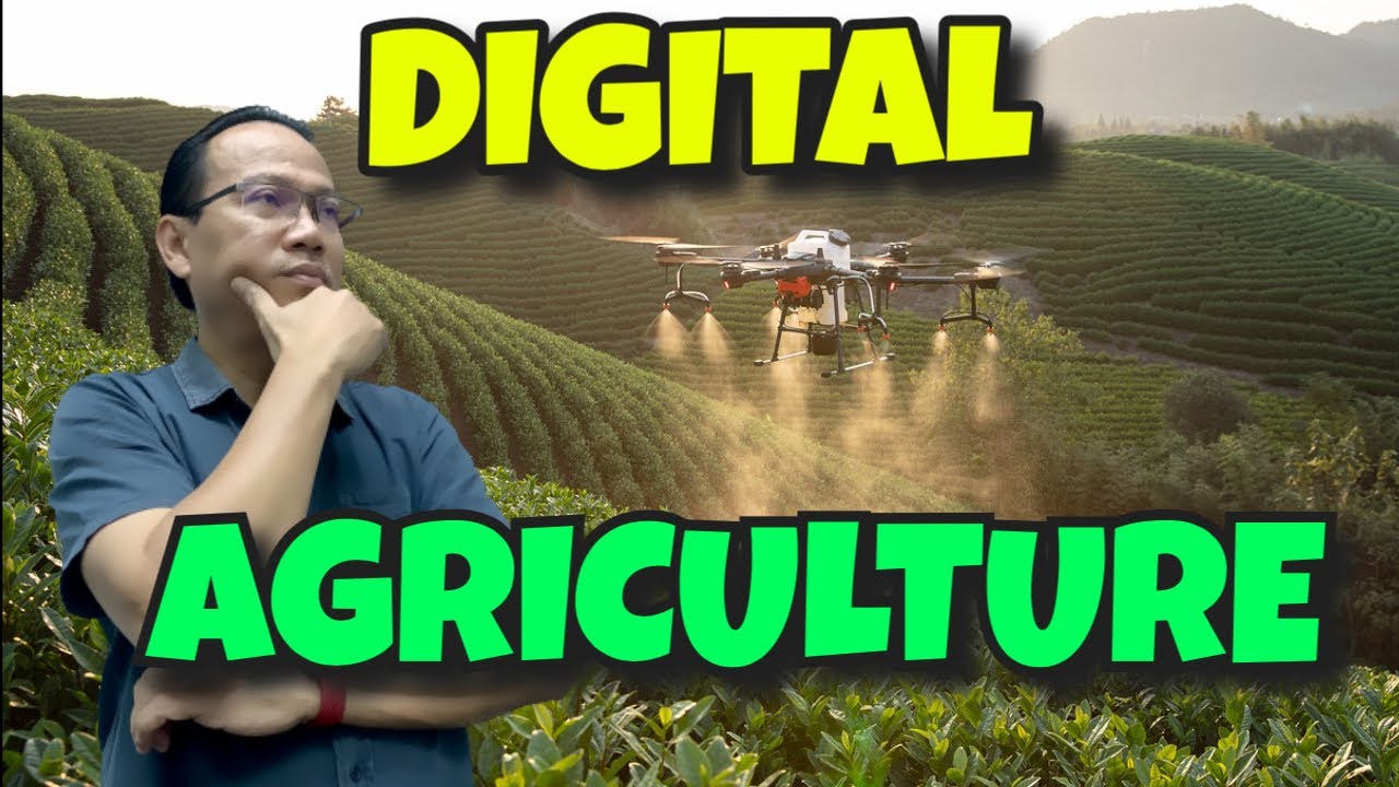 How Digital Transform Agriculture