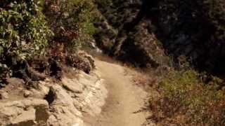 Mt. Wilson Trail Sierra Madre to First Water