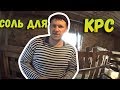 👉Соль для КРС // Какую покупаем // Как подаём