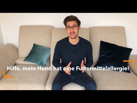 Video: Hilfe! Mein Hund hat Allergien!