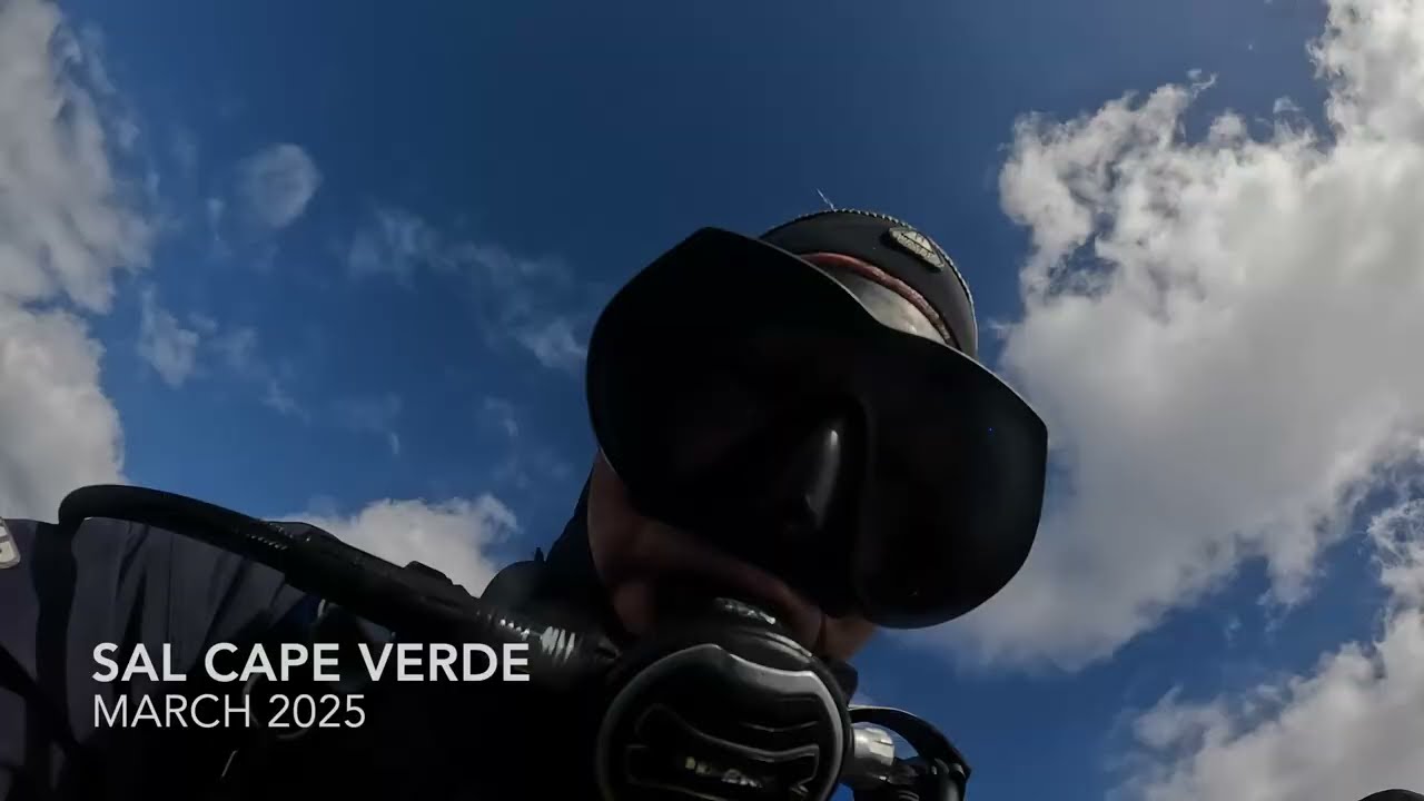 Sal Caboverde 2025 diving