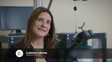 Cognition and Action Lab, UC Berkeley