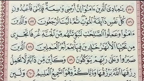 تلاوه خاشعه وماتيسر من سورة العنكبوت بصوت الاستاذ محمد ربيع 💯
