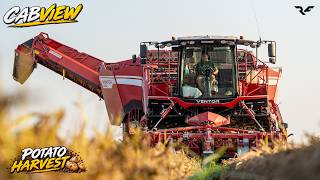 *GRIMME VENTOR 4150 in Action! 🥔🚜 | CABVIEW*