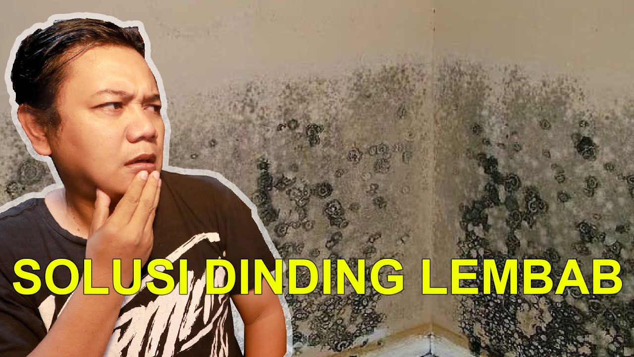 Solusi dinding lembab 