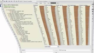 Making the picture file of analysis on Complete Dynamics