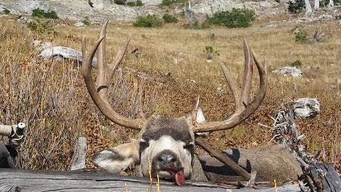 HMO Muledeer and goat hunting