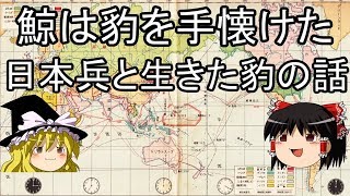 鯨は豹を手懐けた 日本兵と生きた豹の話