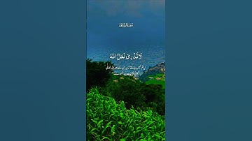 تلاوة خاشعة بصوت يريح القلب #تلاوة #اكسبلور #elmulquranعلم #aslam #duet #المصحف #trend #قران_كريم