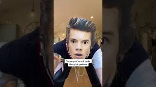 Video thumbnail of "You're Not Harry Styles"