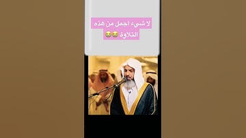 القارئ عمر عبدالله تلاوة مبكية
