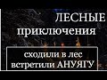 Сходили в лес ,встретили АНУЯГУ