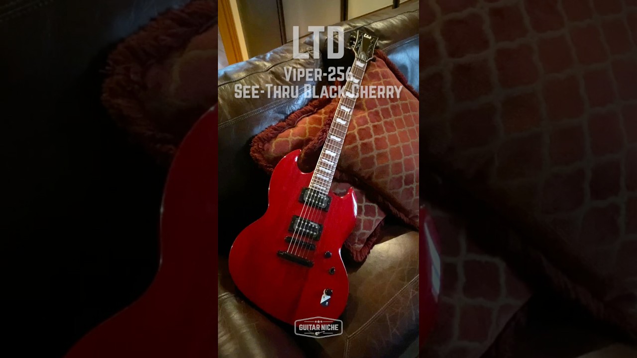 🍒 LTD Viper 256 See Thru Black Cherry #offsetaccess #heavyheaven