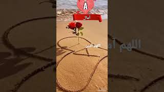 اسم امال قولي آمين 🤲