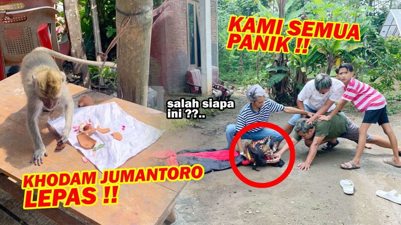 Hal buruk terjadi !! KHODAM BARONGAN JUMANTORO LEPAS.. siapa yang melakukannya ??