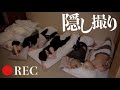 【隠しカメラ】男6人の夜を覗き見してみた結果…