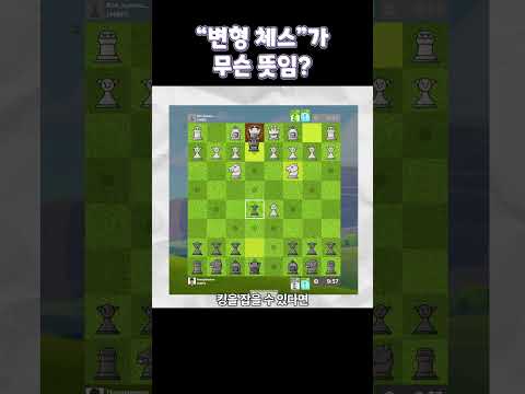 변형 체스가 뭐임??