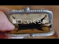 内田百閒「亀鳴くや」①
