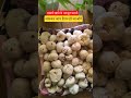 दूध और मखाने खाने के फायदे जानकर आप हैरान हो जाओगे #ayurveda #rajivdixit #foxnuts #guthealth #viral
