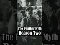 The Panther Myth: Reason Two     #tanks #ww2 #wartargethistory #panthertank #tank
