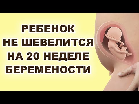 Не ощущаю шевелений ребенка в животе. Что делать? Шевеления ребенка в животе.