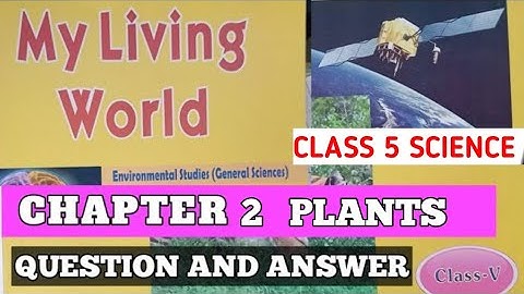 DAV Class 5 Chapter 2 Question and Answer