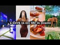 VLOG: come along with me for a week in my life in miami!