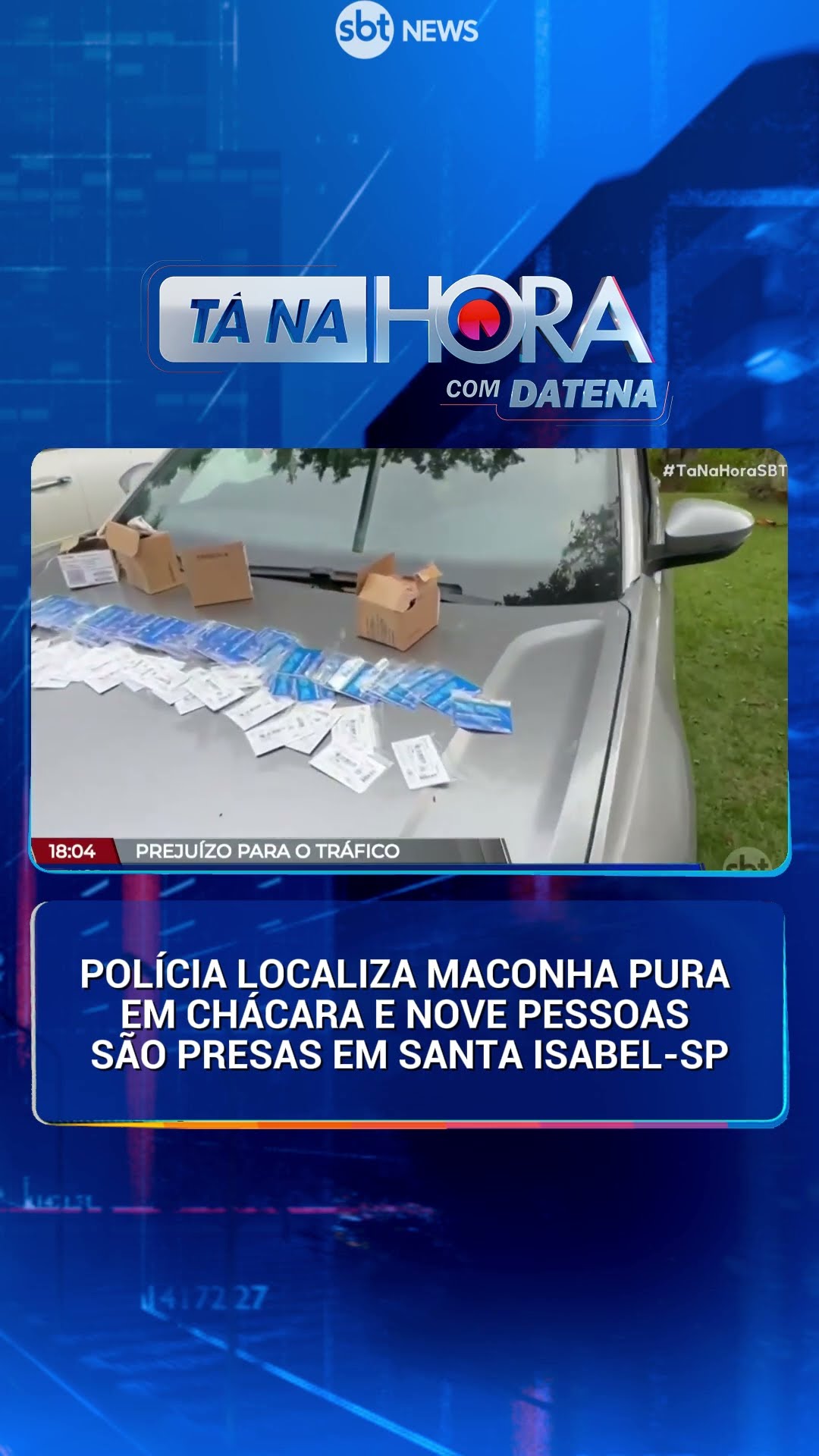Polícia prende nove suspeitos em laboratório de maconha em Santa Isabel  | Tá na Hora (19/12/24)