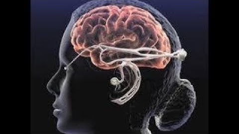 HOW THE MIND WORKS PART 2!