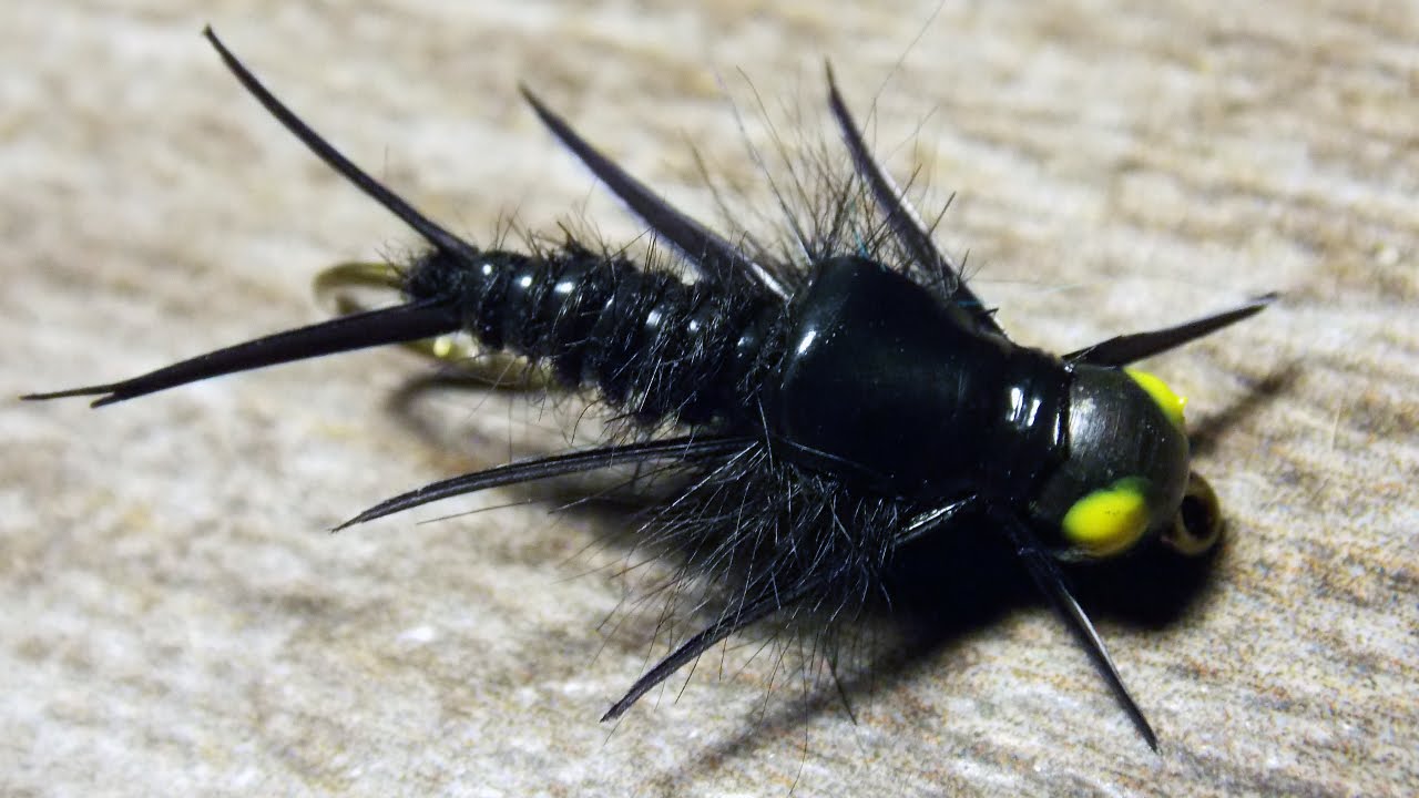 B.H Biot Stonefly Black fly tying instructions by Ruben Martin