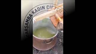 Kivi Pekmezi Yapımı - Çarşamba Çiftçi Kadınlar Derneği