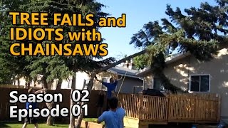 All new and rare! Tree Fails and Idiots with Chainsaws S02E01