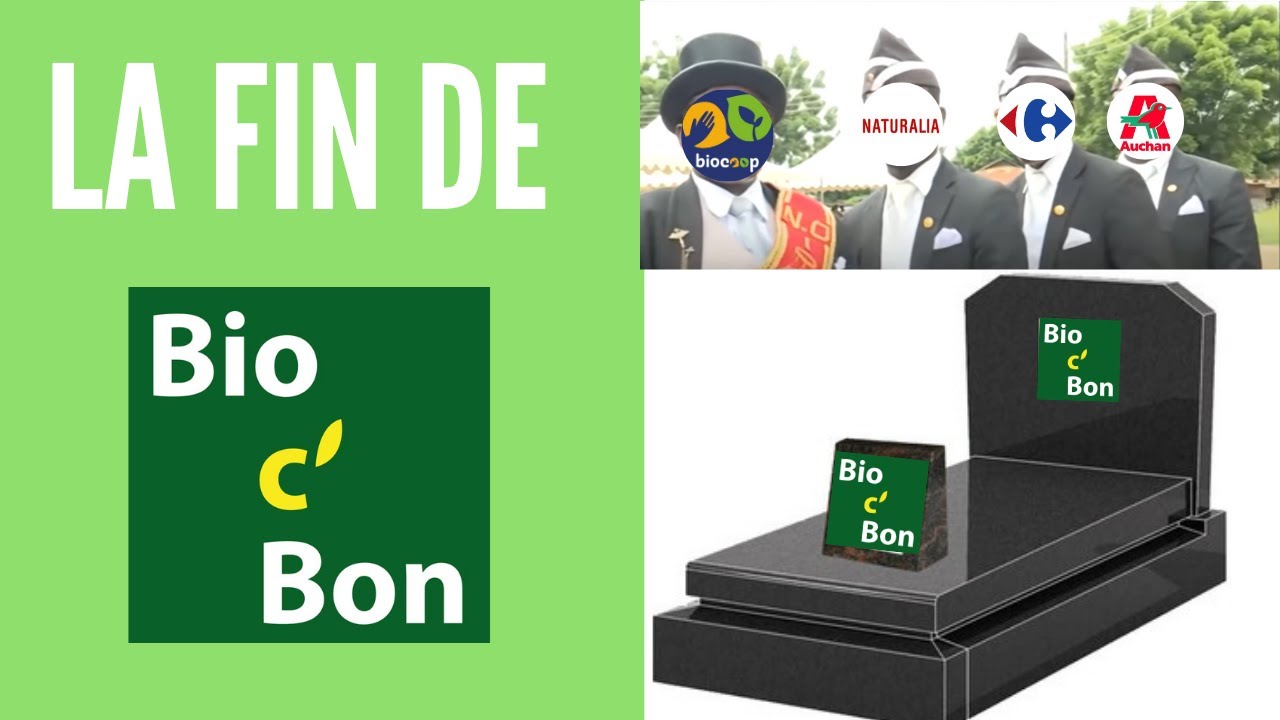 Fin de Bio C' Bon : Montage financier de développement, Analyse de l'échec, probables Repreneurs