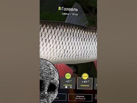 рр4 Троф головаль - YouTube