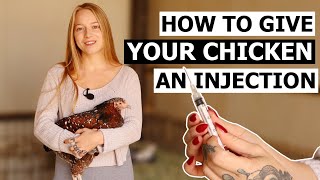 How to Give a Chicken an Injection  Intramuscular & Subcutaneous