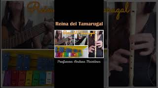 Reina del Tamarugal    #metalofono #flauta #tutorial #guitarra #cover