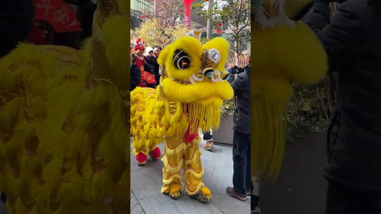 Moments of the Lion Dance and Dragon Dance show