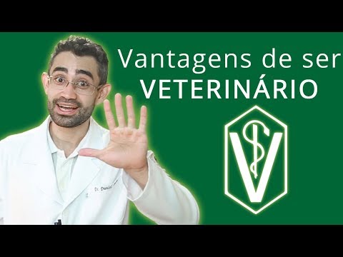 Vídeo: O Veterinário é Adequado Para Você?